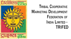 History of TRIFED, TRIFED - Tribes India