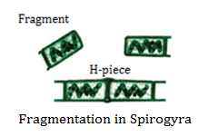 CBSE notes Class 10 Chapter 8 image - 3