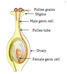 CBSE notes Class 10 Chapter 8 image - 9