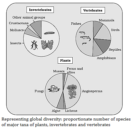 CBSE Class 12 Biology Chapter 15 Biodiversity And Conservation Notes ...