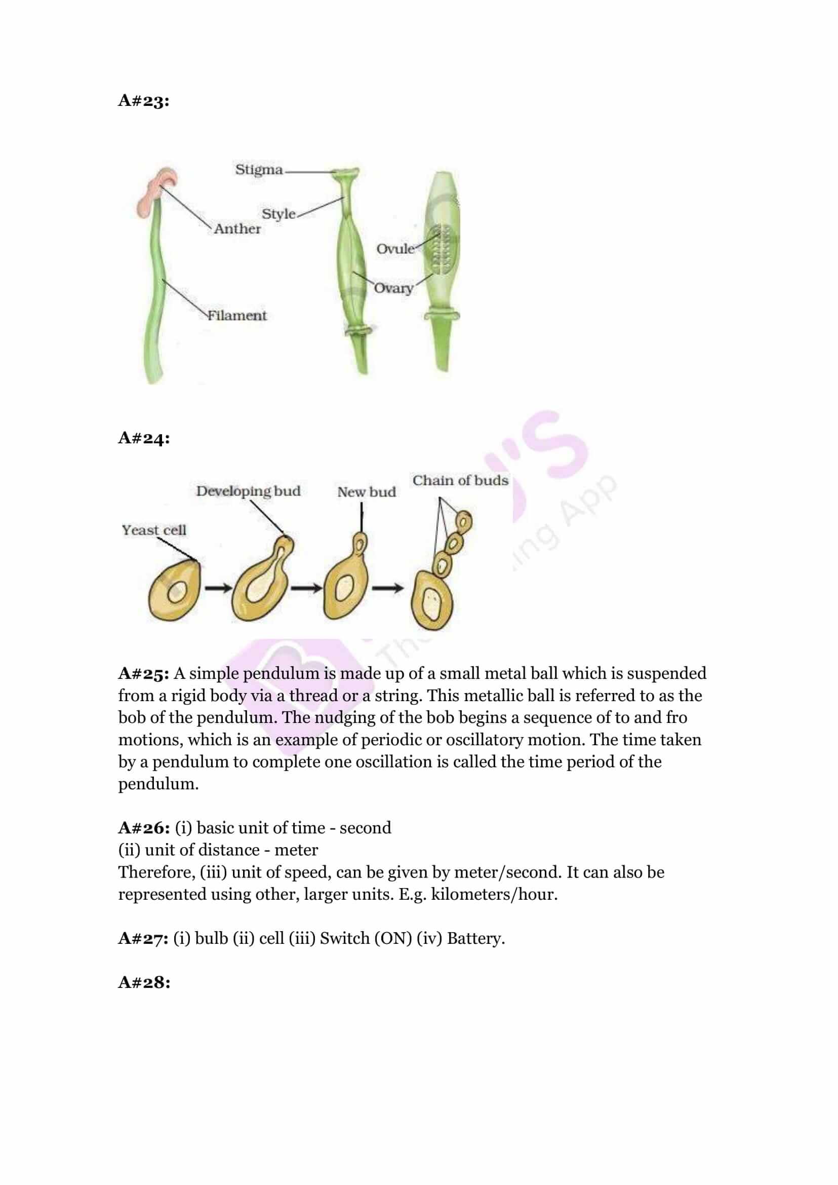 cbse sample paper class 7 science set 1 solutions