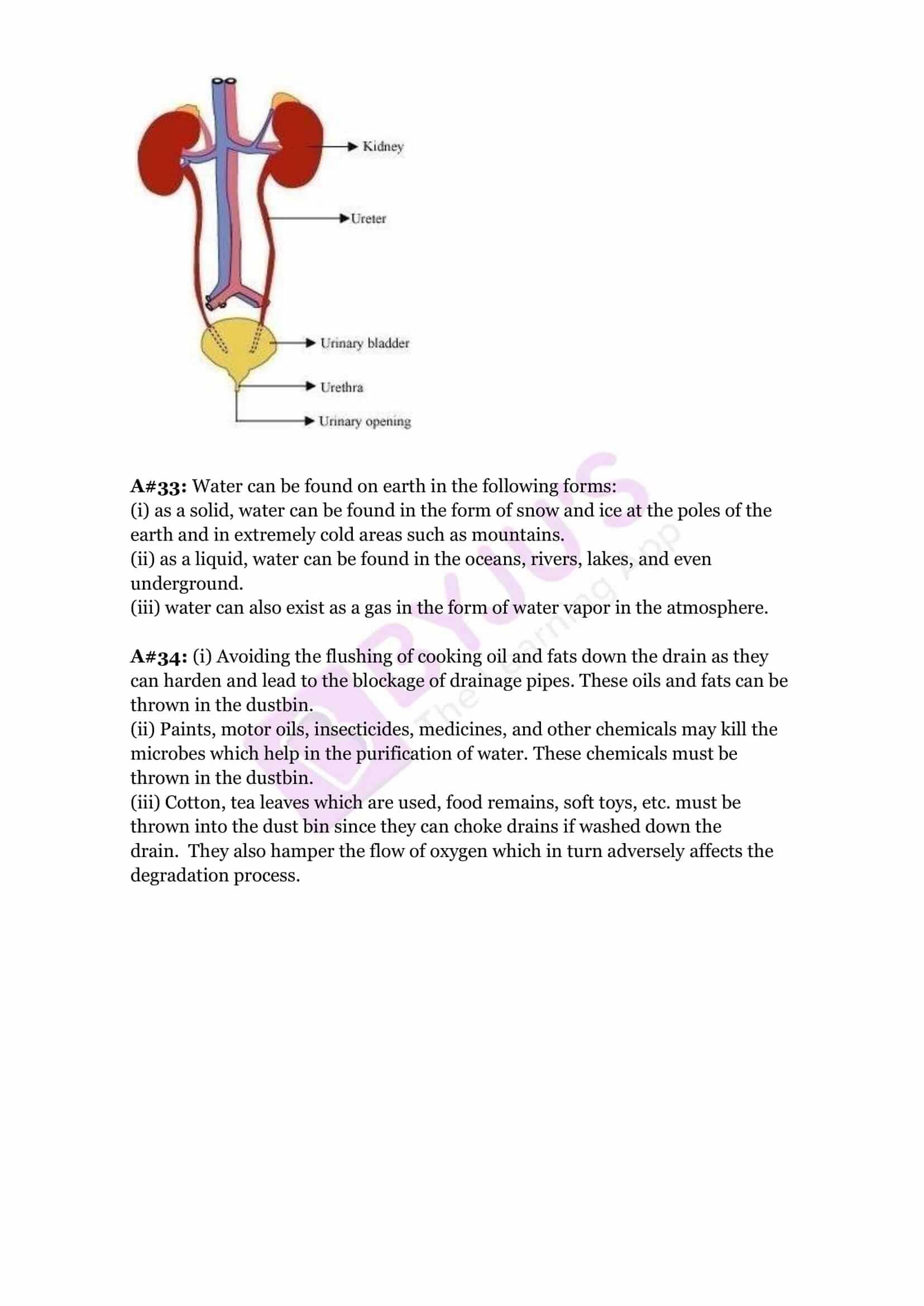 cbse sample paper class 7 science set 1 solutions