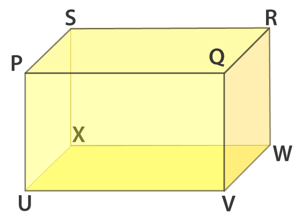 RD Sharma Solutions for Class 6 Chapter 16 Exercise 16.1 Image 7