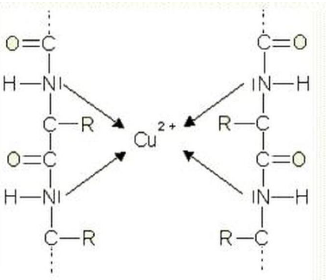 Biuret Test Principle Biuret Test Principle