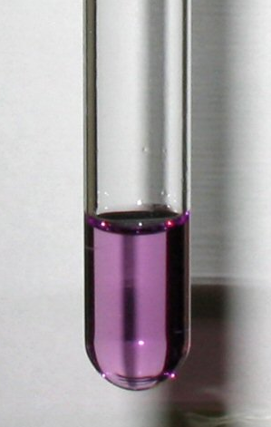 Biuret Test Biuret Test