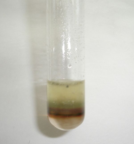 Molisch's Test Molisch's Test
