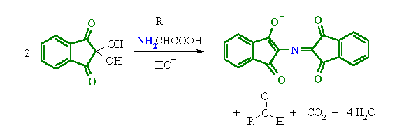 Ninhydrin Test Ninhydrin Test