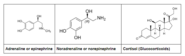 adrenaline, noradrenaline and cortisol structure