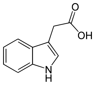 Auxin Indole acetic acid 