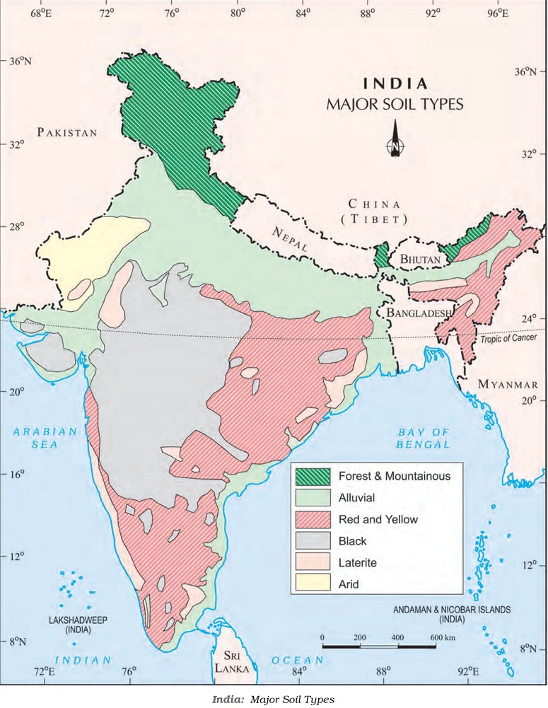 different types of soils found in India