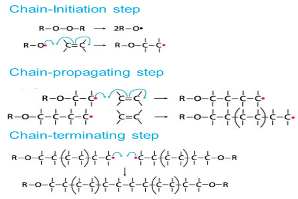 Free Radical Mechanism