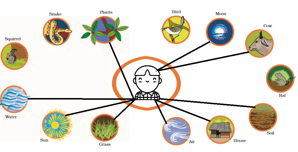 NCERT Solutions Class 3 EVS Chapter 24-1