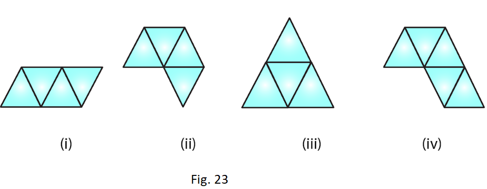 RD Sharma Solutions for Class 7 Maths Chapter 19 Visualising Solid Shapes Image 6