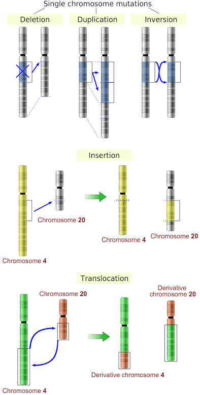 most-common-chromosomal-abnormalities-fdna-health