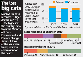 Death of Tigers