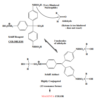 Schiff Test - Checking for Aldehydes with Schiff Reagent
