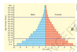 age-sex pyramid (population composition pyramid) 