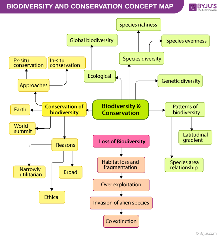 Biodiversity Conservation - Different Methods And Strategies