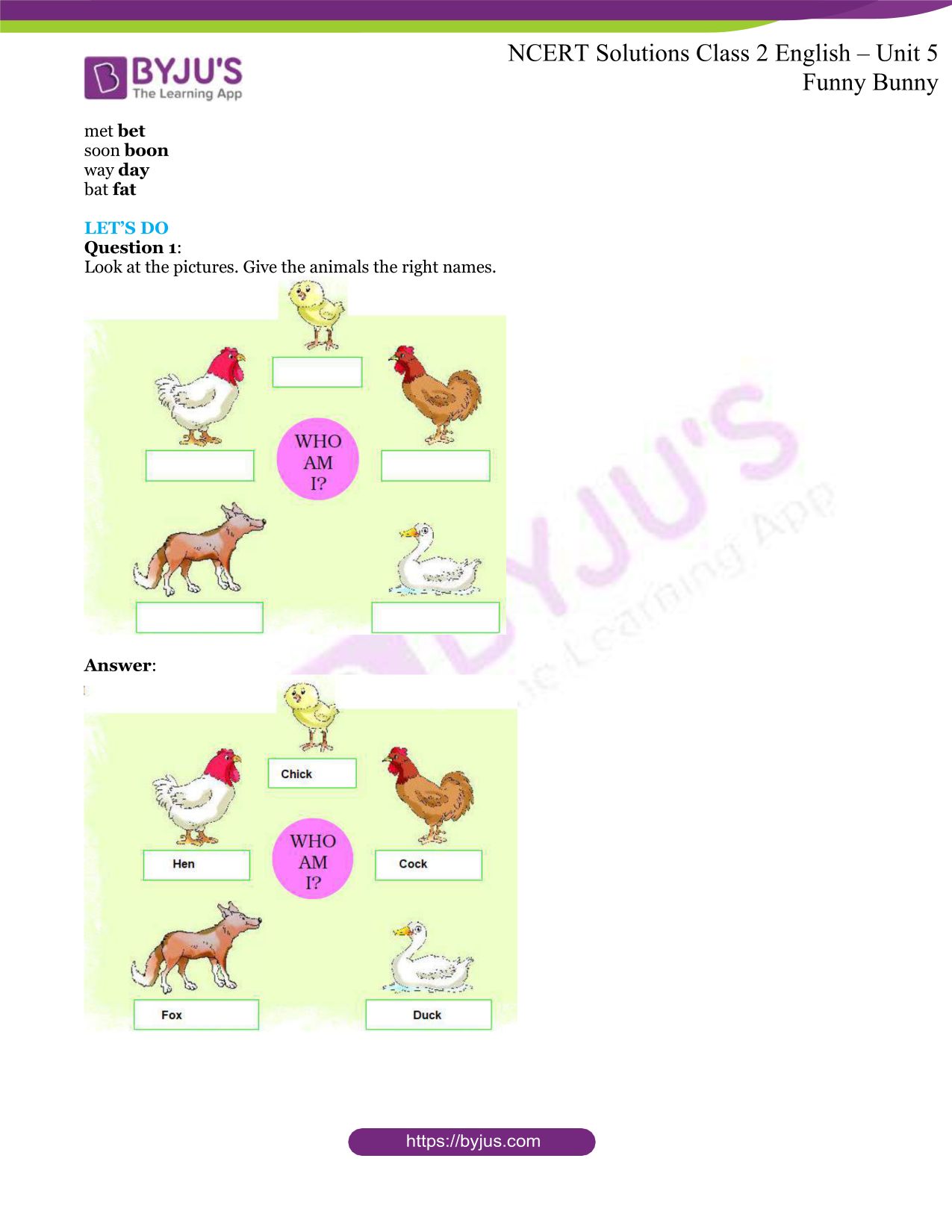 Few lines on rabbit for class 3 picture