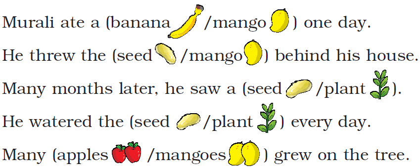 NCERT Solutions Class 1 English Unit 6 Murali'sMango Tree - 1