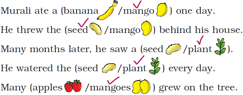 NCERT Solutions Class 1 English Unit 6 Murali'sMango Tree - 2