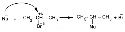 Nucleophilic Substitution Reaction