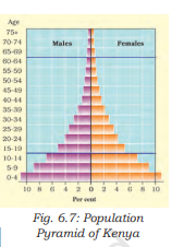 Population pyramid for Kenya