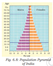 Population Pyramid of India