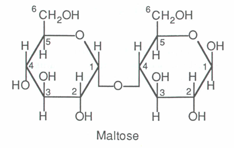 Maltose - Structure, Formula, Properties, Production, Uses