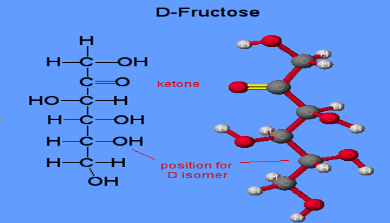 fructose molecule diagram