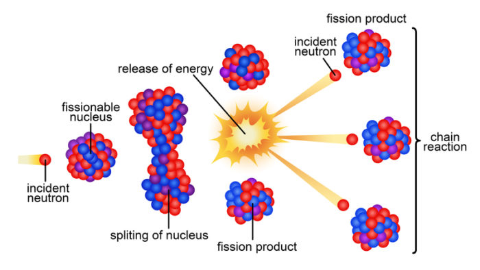 CBSE Notes Class 10 Science Chapter 14-7