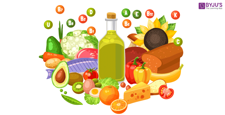 Food Chemistry  The Science of Food Components 