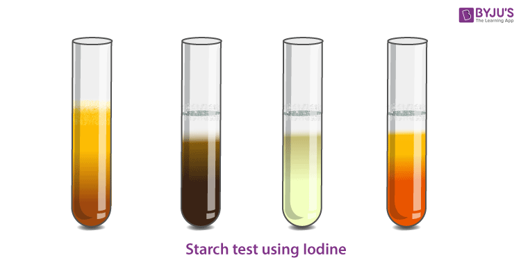 Iodine test for the presence of Starch