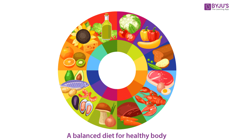 Components of Food