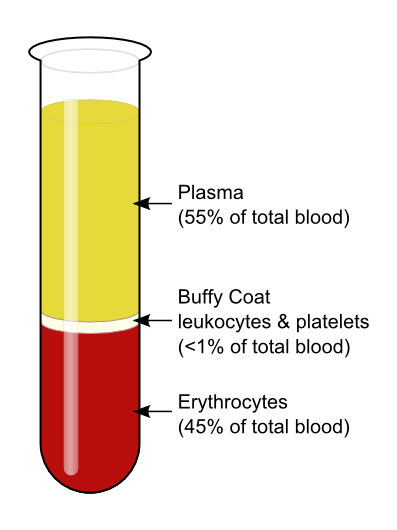 Composition of Blood