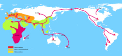 Migration of Early Humans