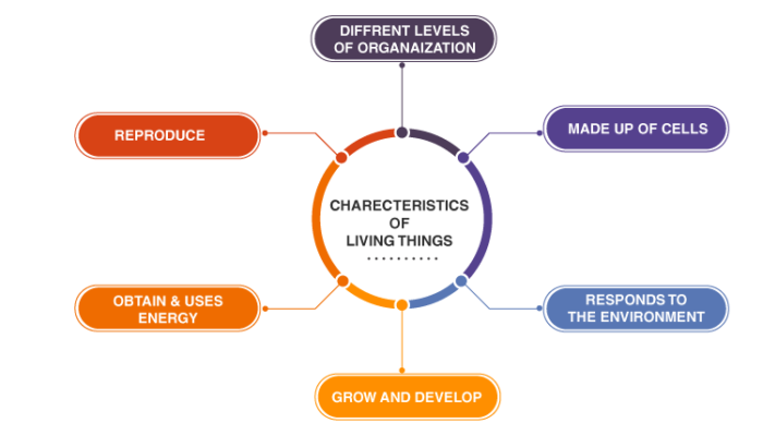 The Living Organisms - Characteristics and Habitats Class 6 Chapter 9