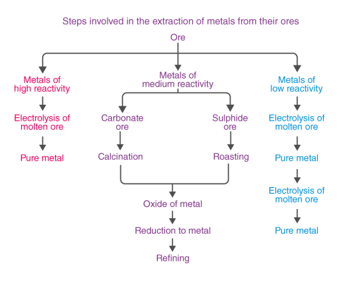 CBSE Class 10 Science notes Chapter 3 - 1