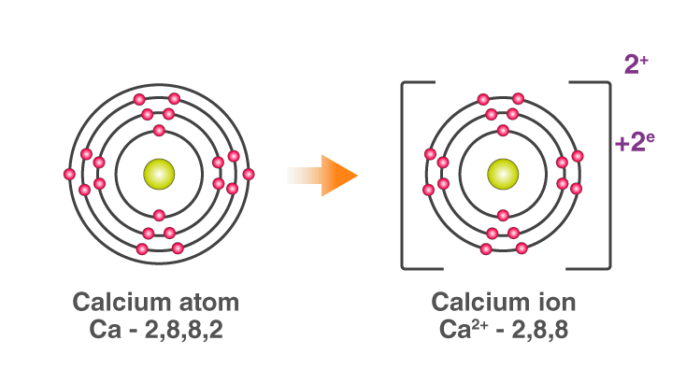 CBSE Class 10 Science notes Chapter 3 - 2