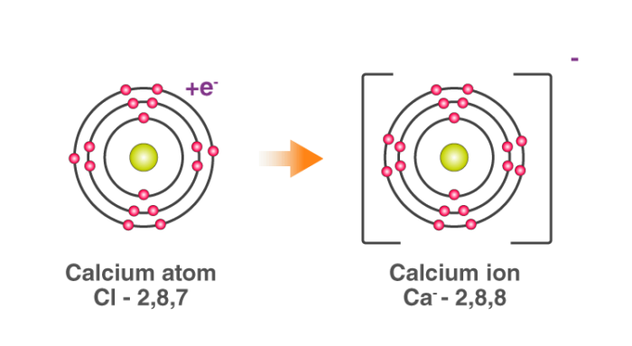 CBSE Class 10 Science notes Chapter 3 - 3