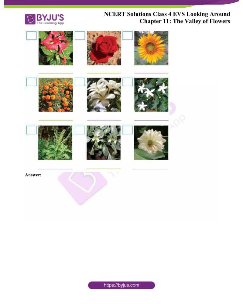 NCERT-Solutions-Class-4-EVS-Chapter-11-1