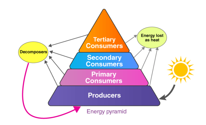 Energy Pyramid