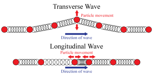 Transverse and longitudinal waves