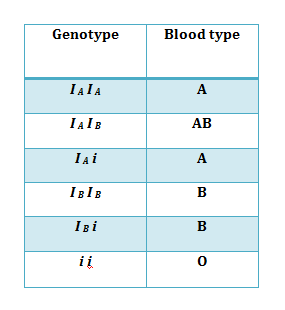 Co-dominance ABO Blood group