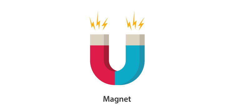 Poles of a Magnet