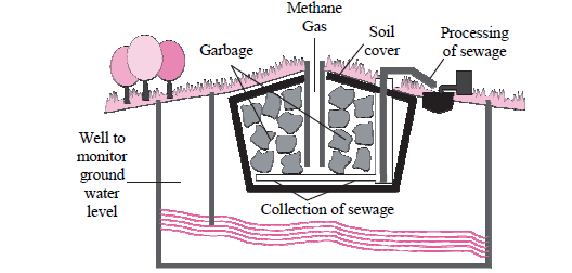 MSBSHSE Class 10 Science Part 2 Previous Year Paper-2019 Section 3 Question 6  MSBSHSE Class 10 Science Part 2 Previous Year Paper-2019 Section 3 Question 6