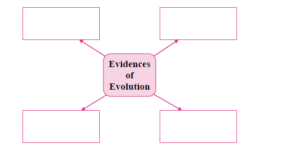 MSBSHSE Class 10 Science Part 2 Previous Year Question Paper-2019 Section 2 Question 1 MSBSHSE Class 10 Science Part 2 Previous Year Question Paper-2019 Section 2 Question 1