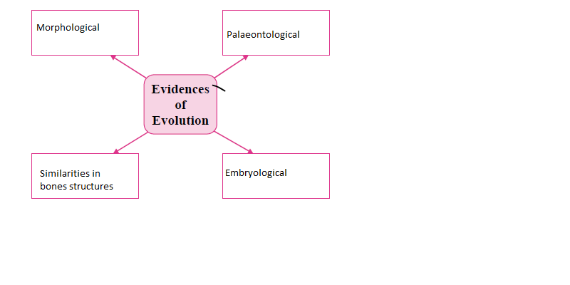 MSBSHSE Class 10 Science Part 2 Previous Year Question Paper Section 2 Question 1 Solution MSBSHSE Class 10 Science Part 2 Previous Year Question Paper Section 2 Question 1 Solution