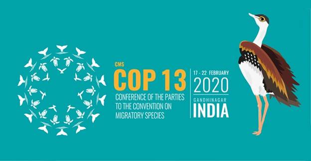 COP 13 CMS Logo & Mascot