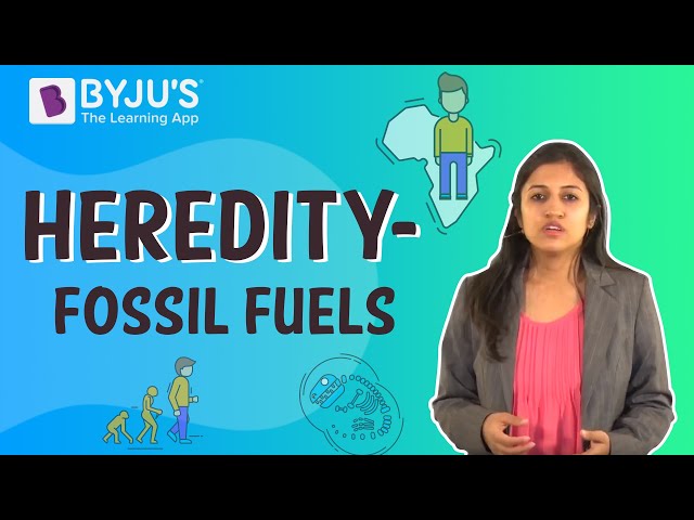 pros and cons of fossil fuels essay